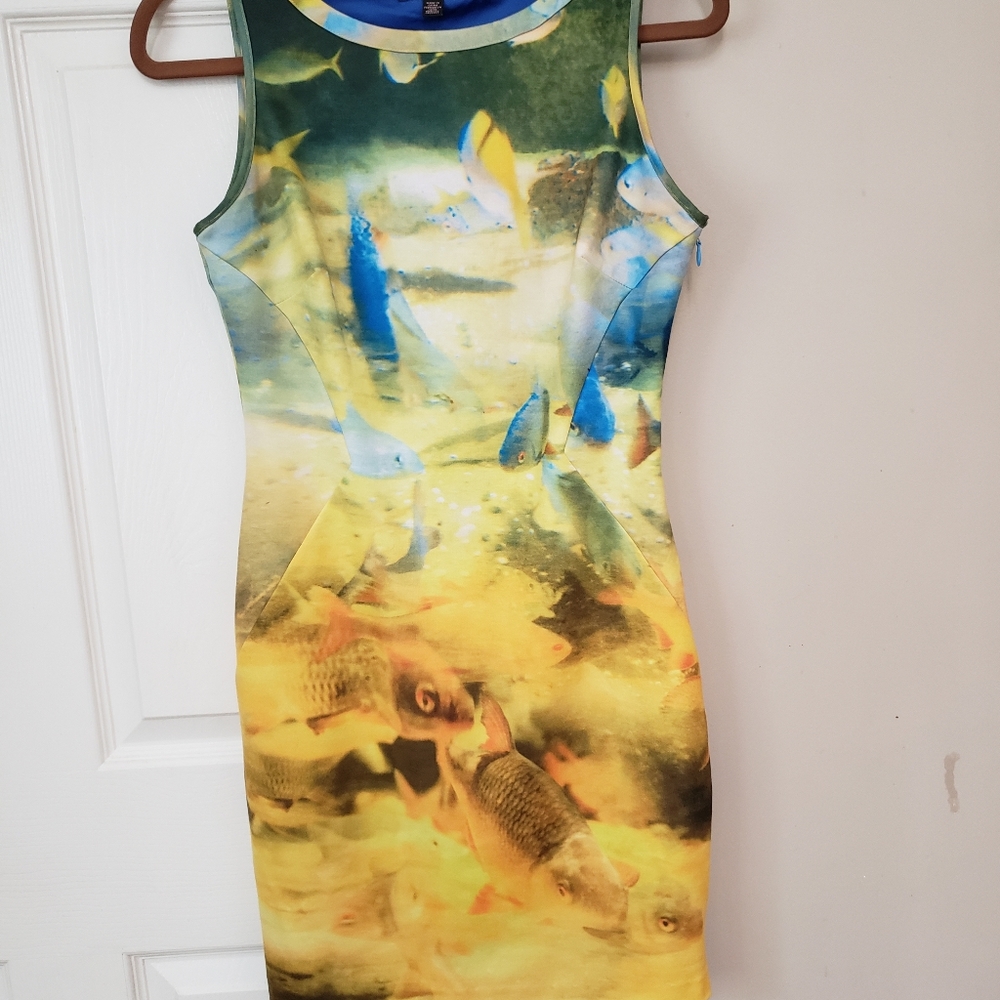 Ted Baker dress